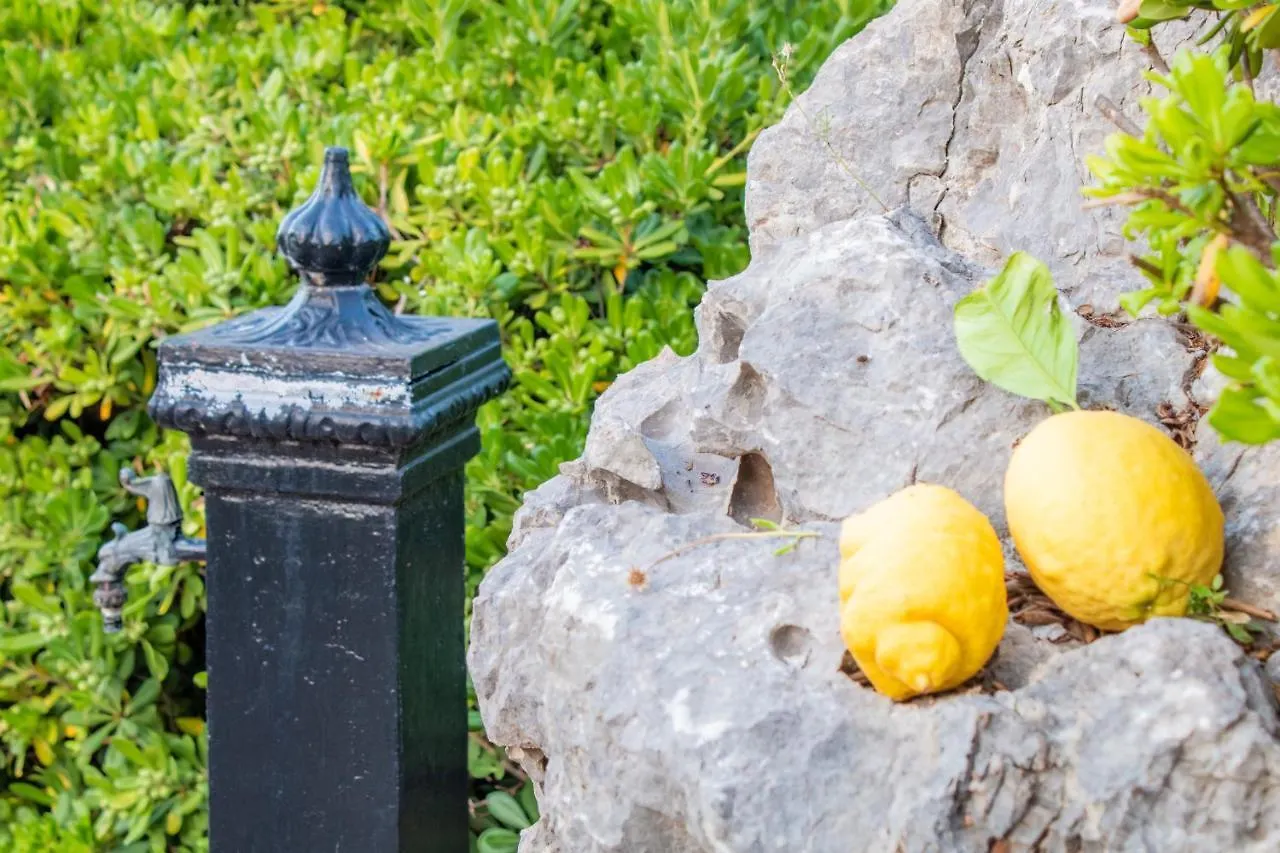 Villino Agave Βίλα Σαν Βίτο λο Κάπο